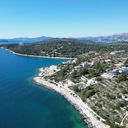 Olive Trogir