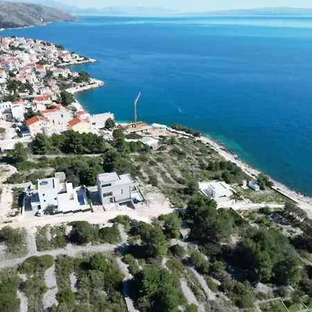 Olive Trogir